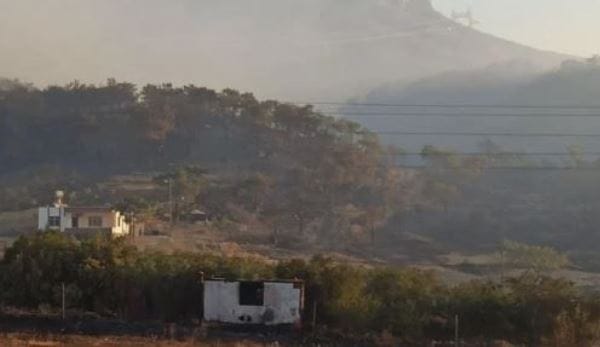 Mersin’de orman yangını, 2’nci gününde devam ediyor