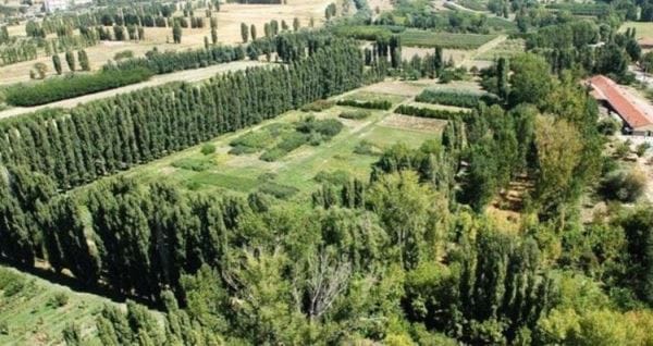 Atatürk Orman Çiftliği arazilerinde TOBB vurgunu
