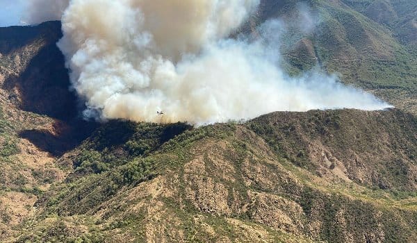 Marmaris’te orman yangını! Havadan müdahale başladı