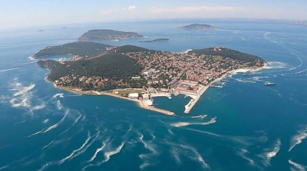 Marmara Denizi için tehlike çanları çalıyor: “İstilacı türler kapıda”