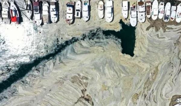 Çınarcık Çukuru’nda oksijen bitiyor Marmara’da risk!