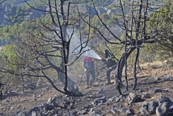 Adıyaman’da çıkan orman yangını kontrol altına alındı