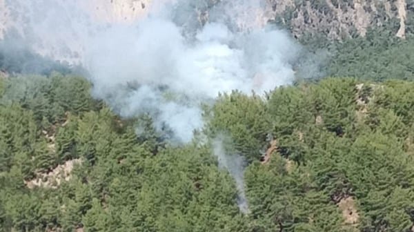 Fethiye’de orman yangını