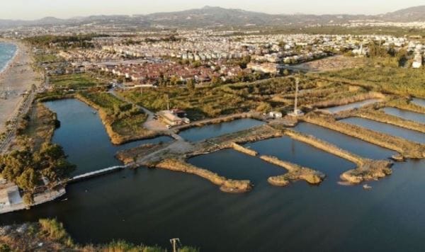 Kuşadası’nda Kocagöl sinyal veriyor: Koruma altına alınmalı!
