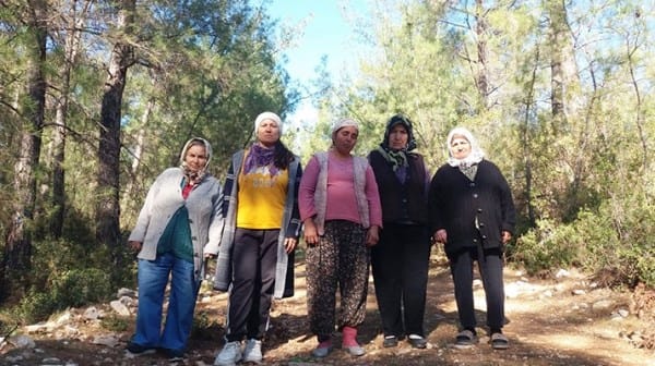 Akbelen’i size teslim etmeyiz