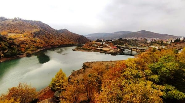 Dersim’de mücadele kazanımla sonuçlandı