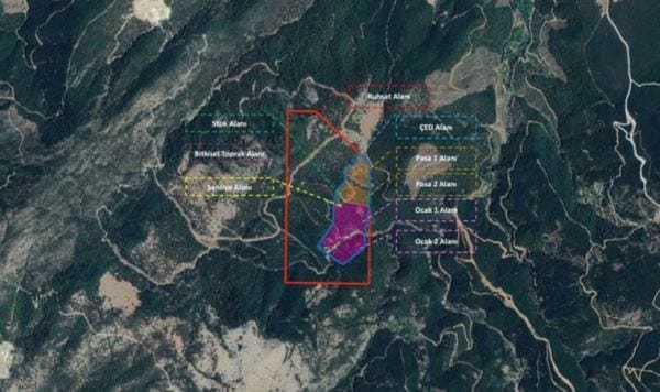 Muğla Valiliği ‘ÇED gerekli değildir’ dedi… 6 bin 129 ağaç kesilecek
