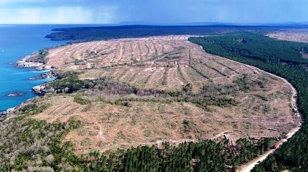 Danıştay, çevrecilerin itirazını kabul etti: Sinop Nükleer Santrali’nde karar bozuldu