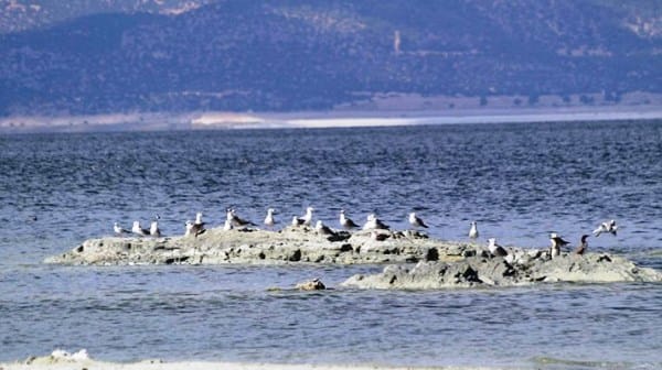 Salda’nın ardından hedef Burdur Gölü