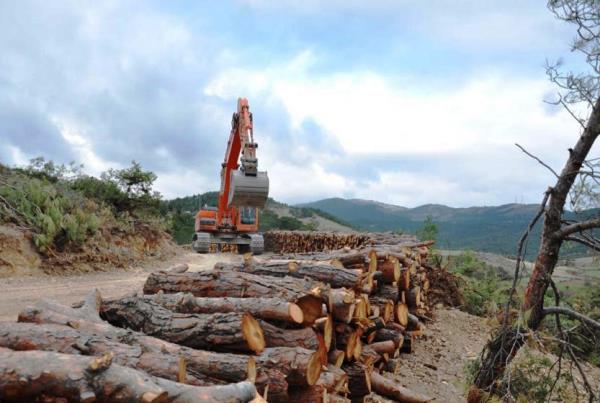 İktidar depremi fırsata çevirme peşinde