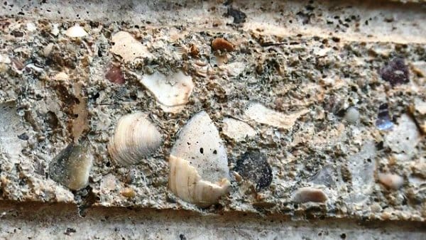 Deprem sonrası talep yüzde 90 arttı; betonun içinden gazete kupürü, tahta, köpük çıkıyor!