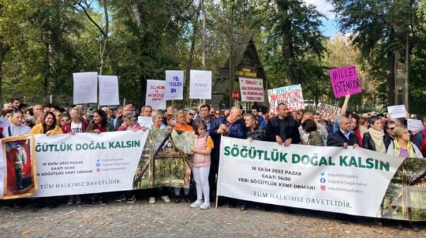 Dava kazanıldı, orman kurtuldu