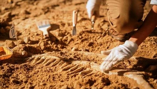Kalinda Antik Kenti’nde kazı çalışması yapılacak