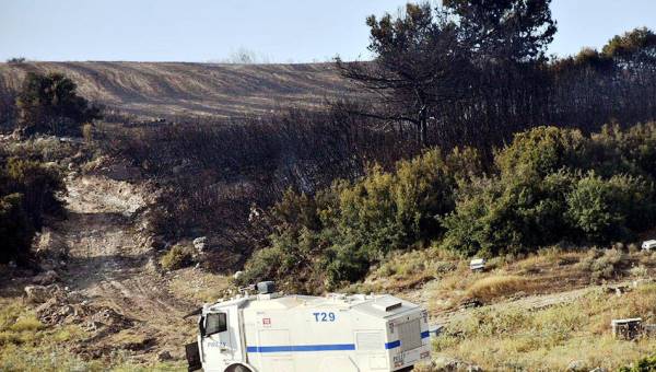 Orman yangınları: Aliağa ve Menderes’te 390 hektar kül oldu