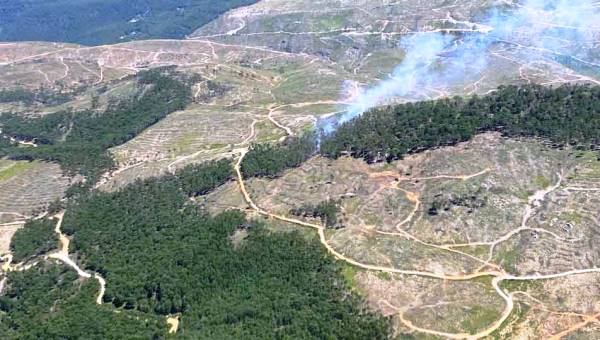 Muğla’da çıkan yangın kontrol altına alındı: 1 gözaltı