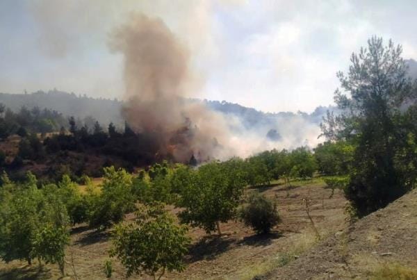 Maraş’ta orman yangını 17 saatte kontrol altına alındı: 100 hektar alan zarar gördü