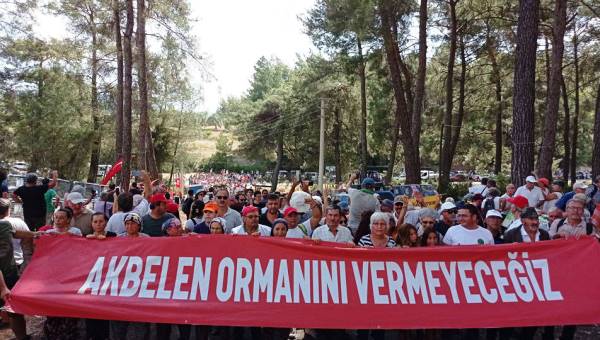 Yaşam savunucuları Akbelen’de buluştu: Akbelen Ormanı yeniden doğdu