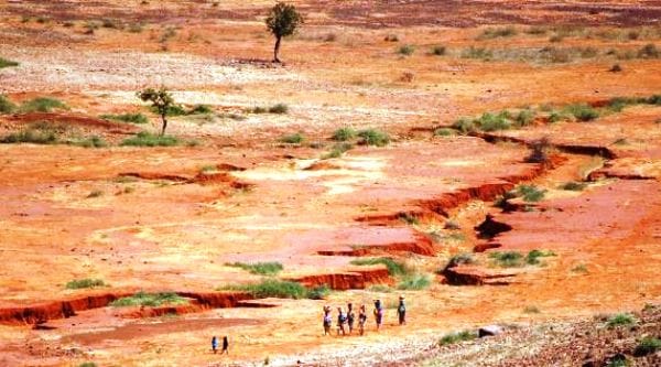 Peyzaj mimarları Afrika’nın Büyük Yeşil Duvarı için “çok önemli olabilir” diyor…