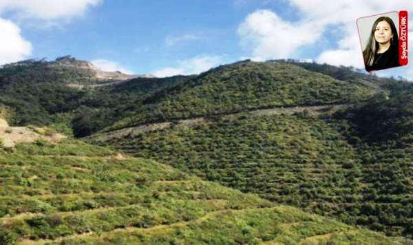 Depremin yerle bir ettiği Hatay’da 6 Şubat’tan bu yana 130 maden projesine onay verildi