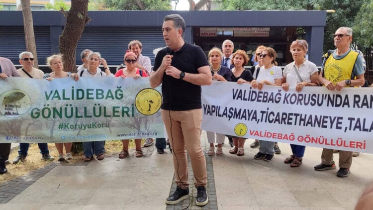 Validebağ Korusu’nun 3 dönümlük kısmı gasp edilmek üzere!