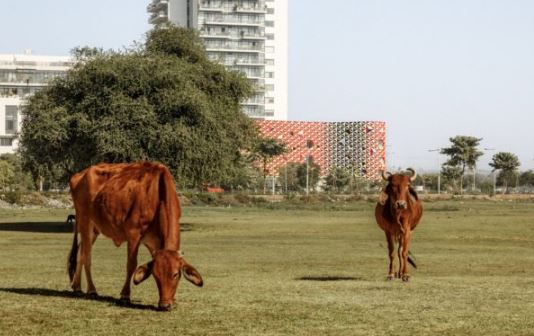 Au Grand Air Anaokulu ve Kreşi