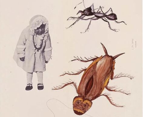 Bir böceğin hayatı: probiyotik bir mimariye doğru / Beatriz Colomina
