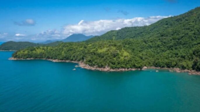 Resmi Gazete’de yayımlandı: Kıyı kenar çizgisinin deniz tarafındaki ormanlık alanlar turizme açıldı