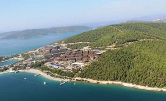 Ormanı yok et, tesis yap