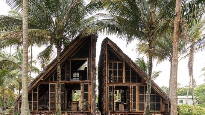 Toquilla Evi