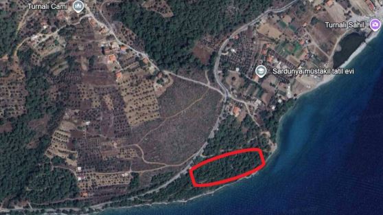 Yargı ‘koruyun’ dedi, Orman Müdürlüğü dinlemiyor: Kandil Ormanı tehlikede
