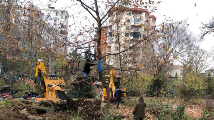 Anıt ağaçlara polis korumalı yıkım