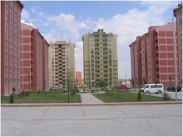 317.jpg
