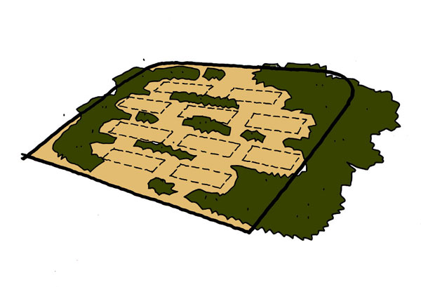 357.jpg