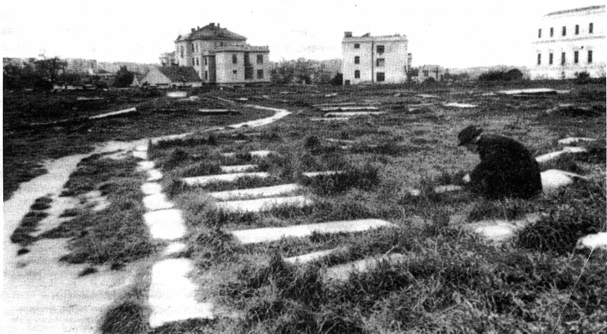 Kamusal alanların halk tarafından benimsenmesi…dünyadan gezi parkına