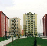 4-bin.jpg