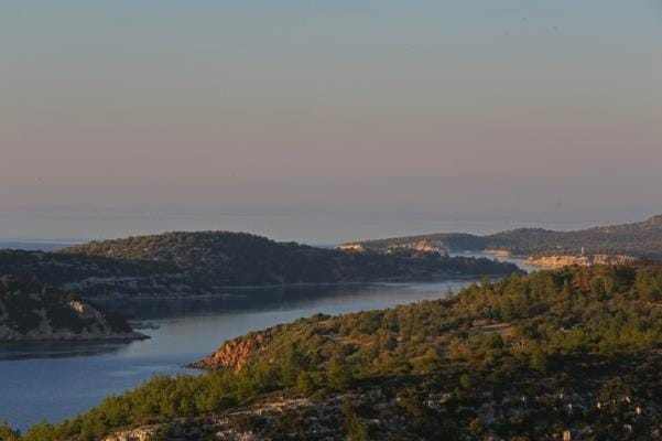 5645dab467b0a947c4dbe2ac