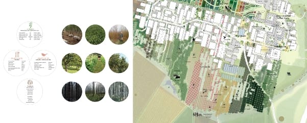 AgroFoodPark_PlantingDiagram_courtesy_William_McDonough___Partners