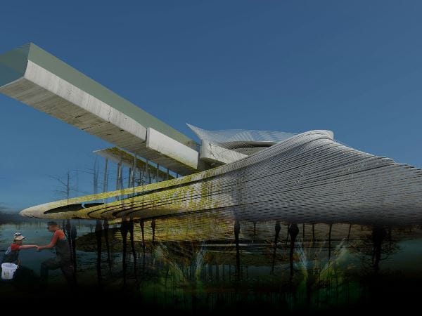 Arch2O-Constructed-expanding-Wetland-09
