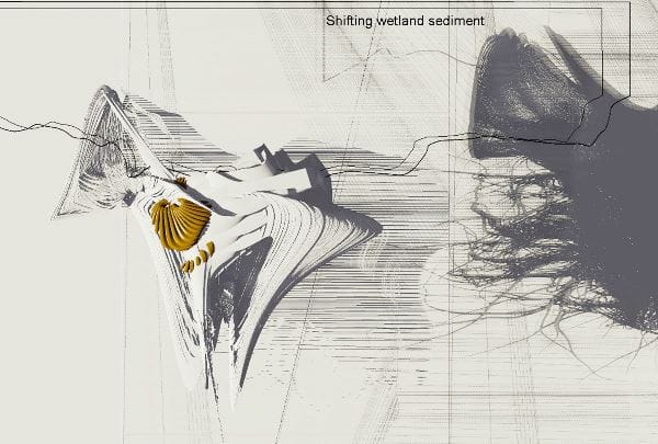 Arch2O-Constructed-expanding-Wetland-11