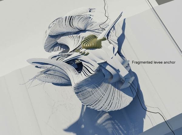 Arch2O-Constructed-expanding-Wetland-13