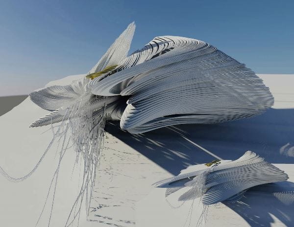 Arch2O-Constructed-expanding-Wetland-15