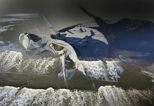 Arch2O-Constructed-expanding-Wetland-17