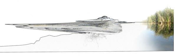 Arch2O-Constructed-expanding-Wetland-24