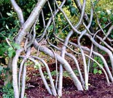 Fabbench