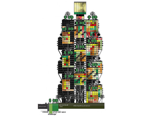agac-3.jpg