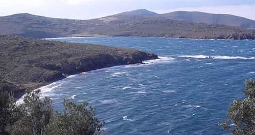 ayva