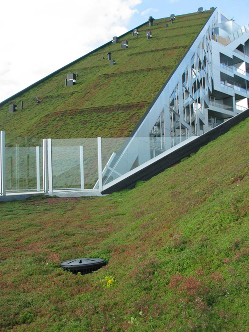 Sayıların Gücü