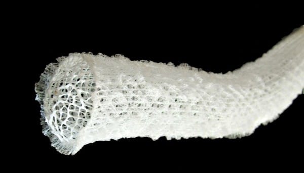 biomorph-AA-3-600x342