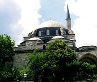 cami12.jpg