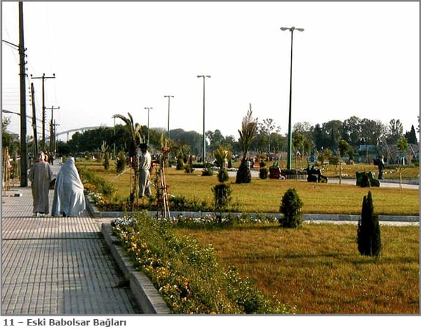 Mazandaran-12